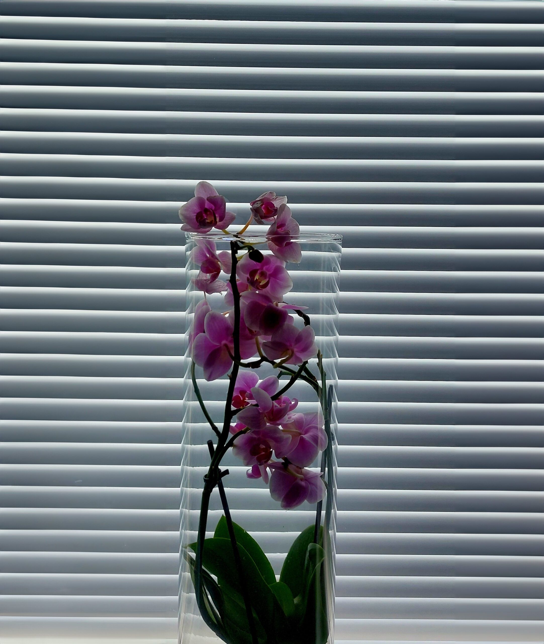 Osion sälekaihtimet