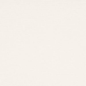 1000 Antares 1088 snow-white