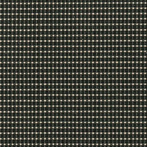 ALU71230 - musta-aprikoosi