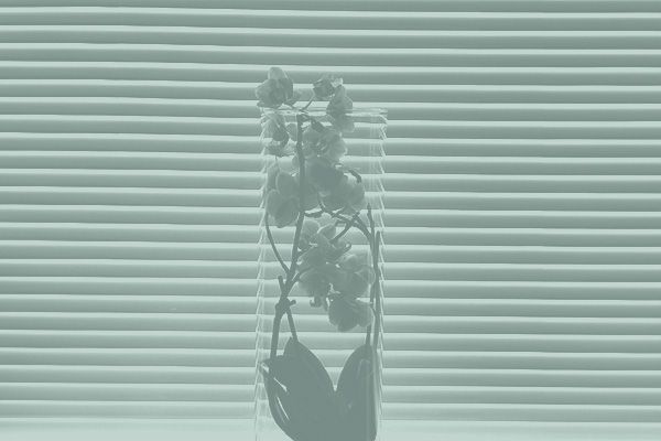 Osio kotiin - sälekaihdin