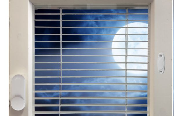 Sälekaihdin kuutamolla